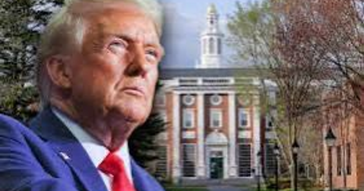 Persona seria frente a edificio educativo en campus universitario