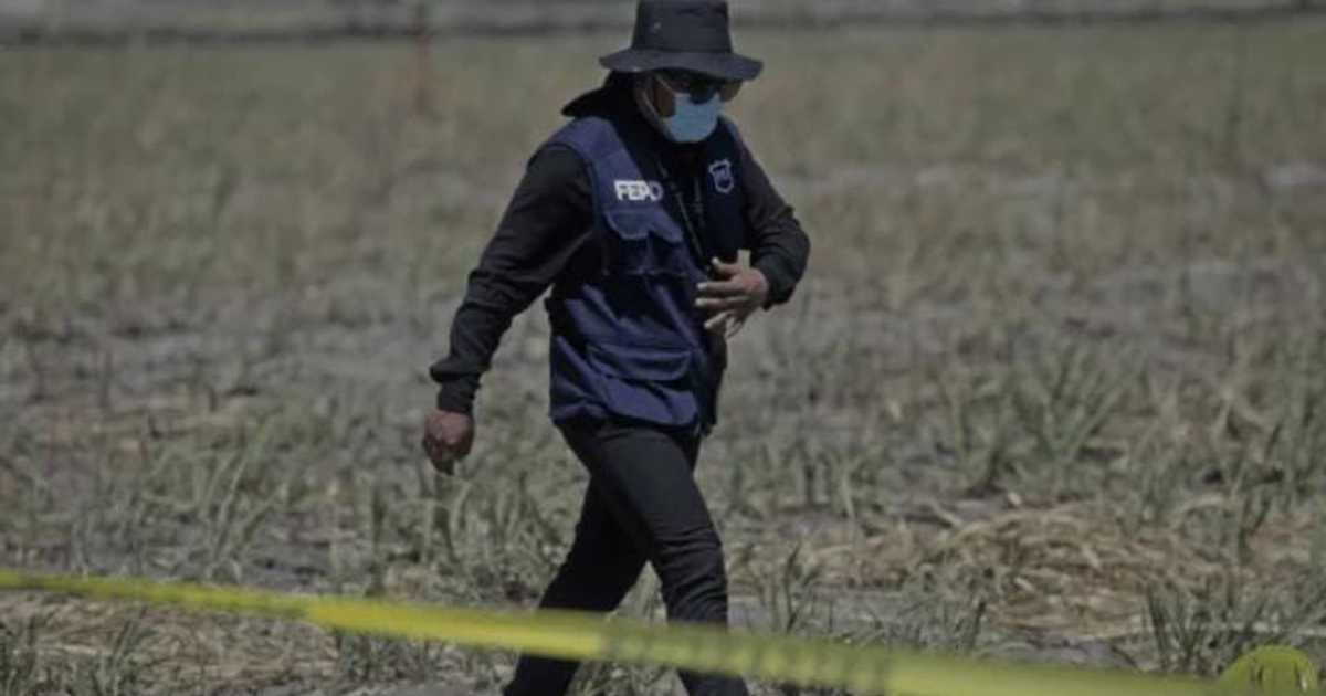Perito forense en campo agrícola durante investigación en Rancho Izaguirre, Jalisco.