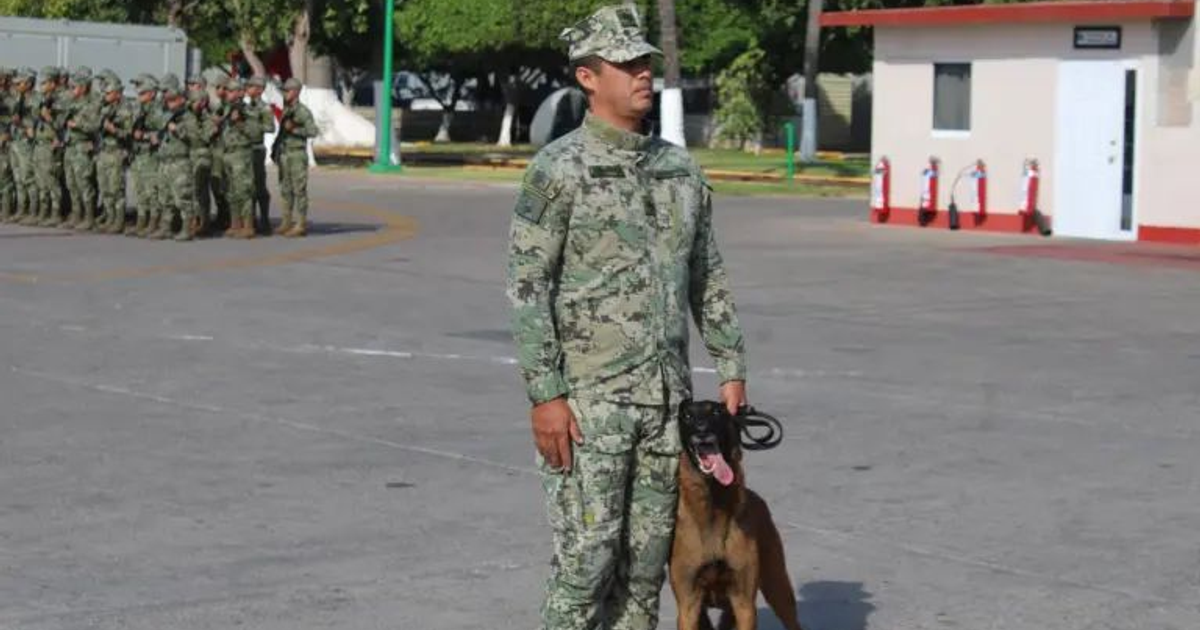 Soldado con uniforme camuflado junto a perro militar Ixku en ceremonia de retiro, con soldados en formación y edificio militar al fondo.