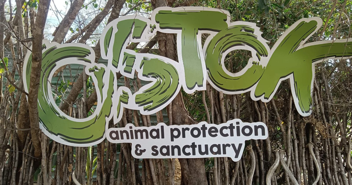 Letrero del Santuario Ostok con fondo de vegetación
