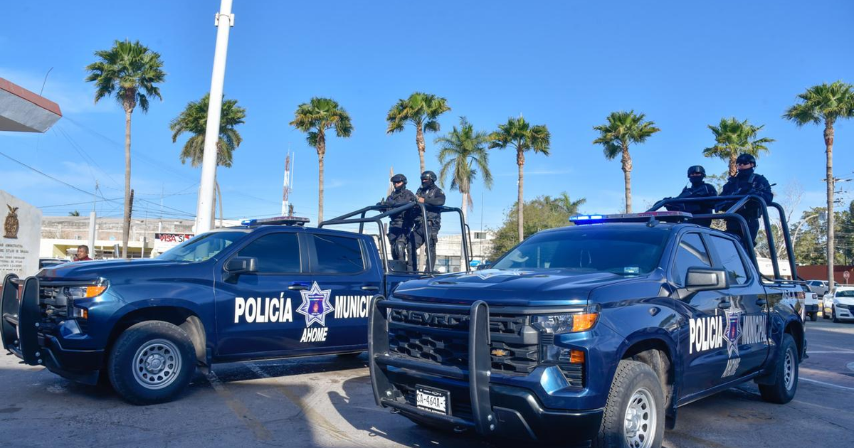 Vehículos de la Policía Municipal de Ahome en operativo de seguridad, con agentes en camionetas y palmeras de fondo.