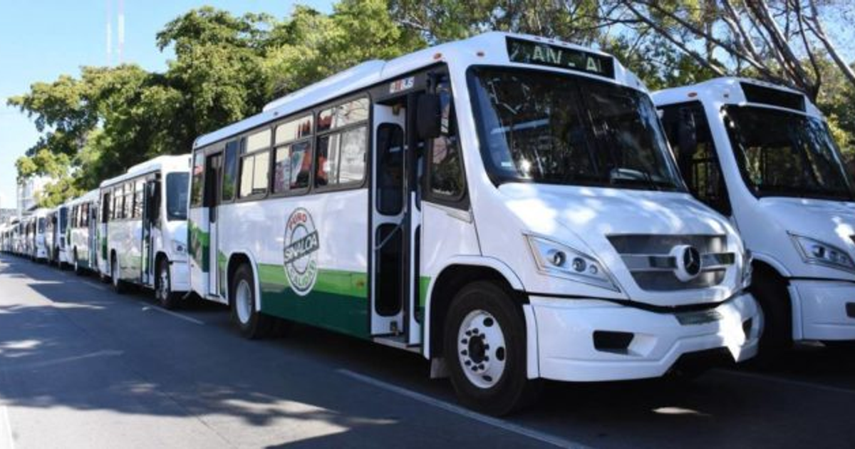 Autobuses blancos con detalles verdes alineados en una calle de Culiacán, con árboles al fondo.