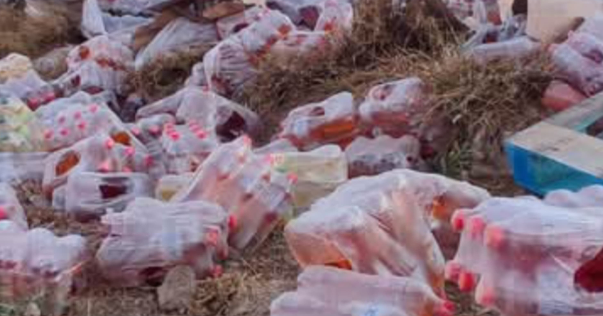 Botellas plásticas esparcidas tras volcadura de tráiler en carretera México 15