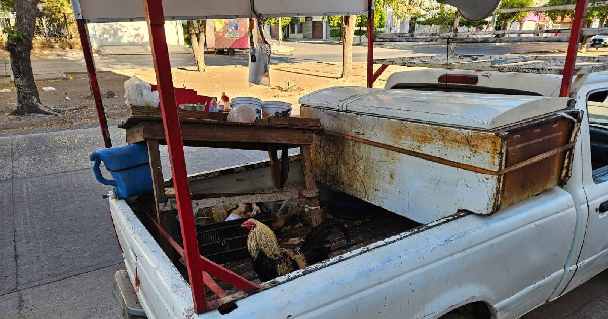 Parte trasera de camioneta Ford Ranger con estructura de madera y refrigerador viejo, recipientes y un gallo, relacionada con el caso del vendedor de cocos en Culiacán.