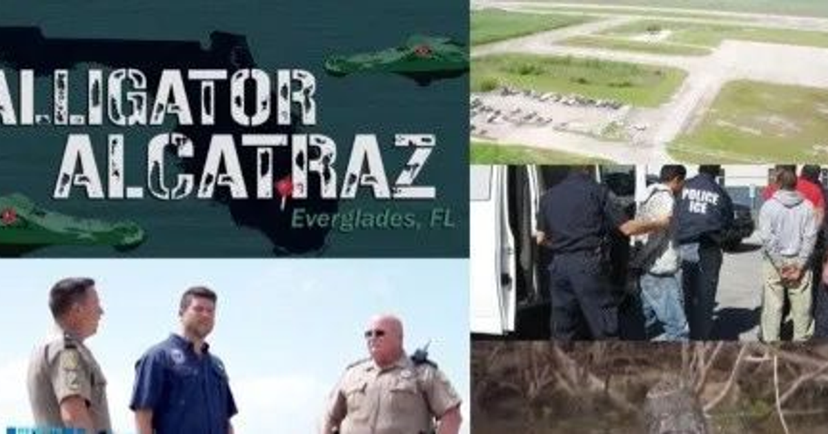 Collage de 'Alligator Alcatraz' con mapa de Florida, caimán y escenas de detención en los Everglades.