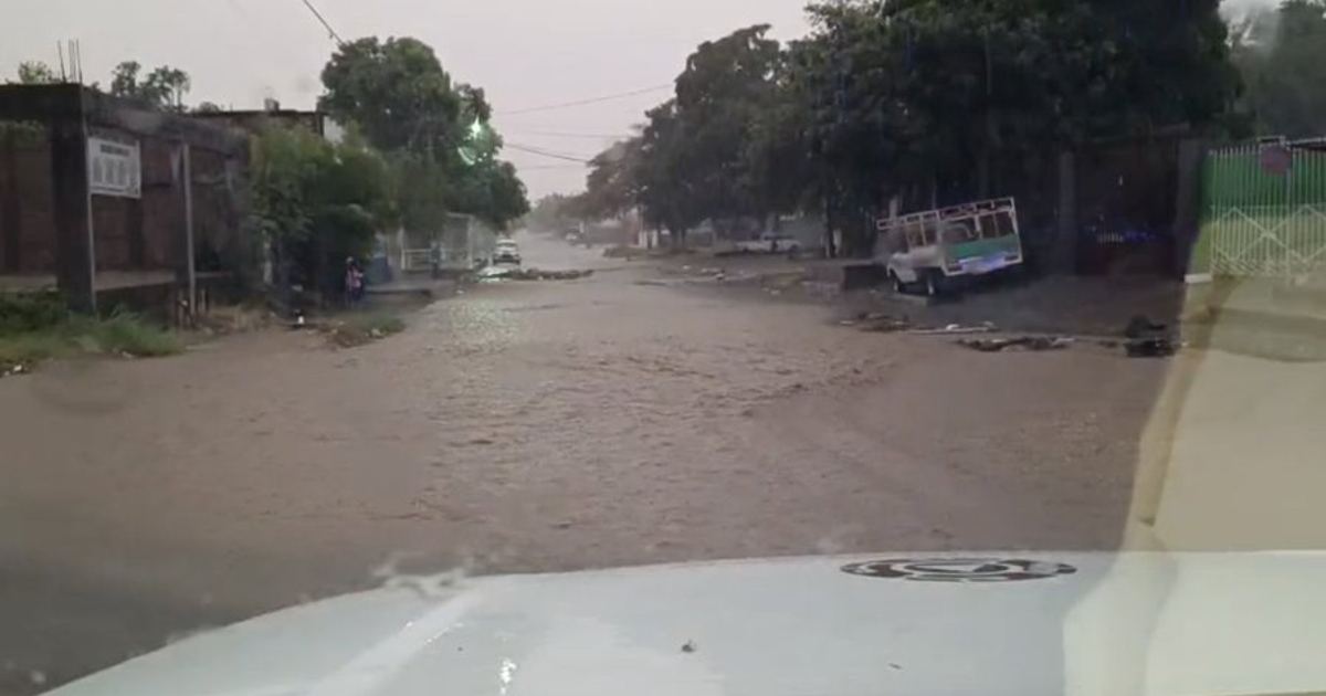 Calle inundada en Culiacán con vehículos estacionados y árboles, bajo lluvia intensa y visibilidad reducida.