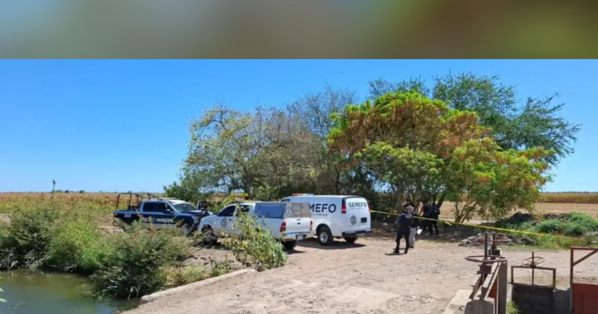 Escena de crimen en Navolato con vehículos policiales y forenses en zona rural.