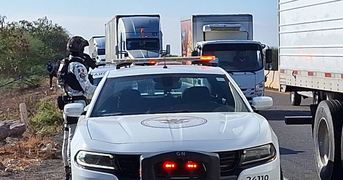 Patrulla de la Guardia Nacional con luces encendidas en la autopista Benito Juárez, rodeada de camiones y vegetación.