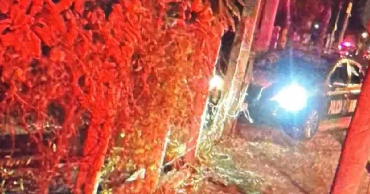 Escena nocturna con luces de emergencia rojas y un vehículo policial en Navolato.