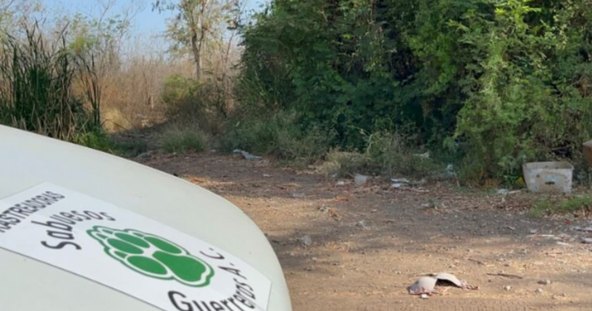Área de búsqueda en Bellavista con vegetación y vehículo con logo de huella animal.