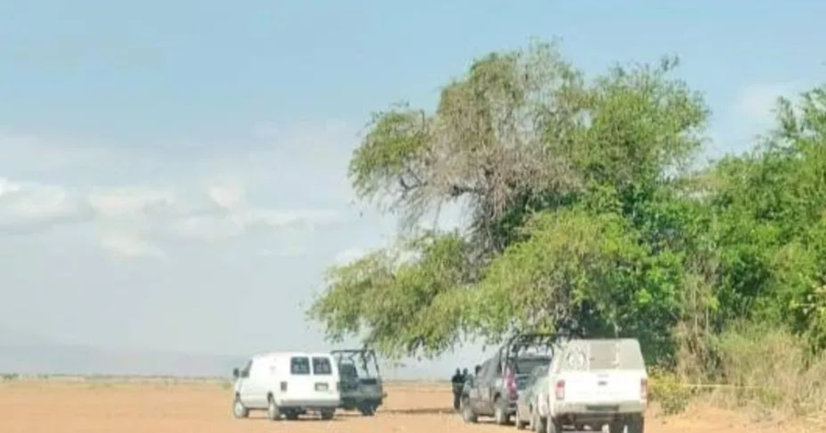Vehículos estacionados en terreno desértico cerca de un árbol, Angostura, Sinaloa.