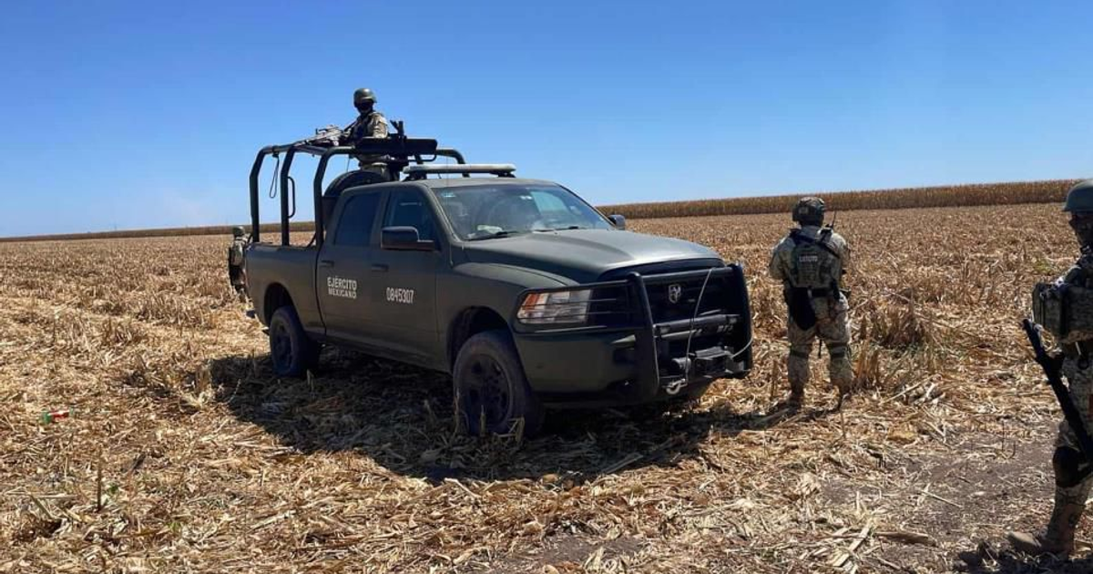Vehículo militar verde con soldados en campo agrícola de Navolato