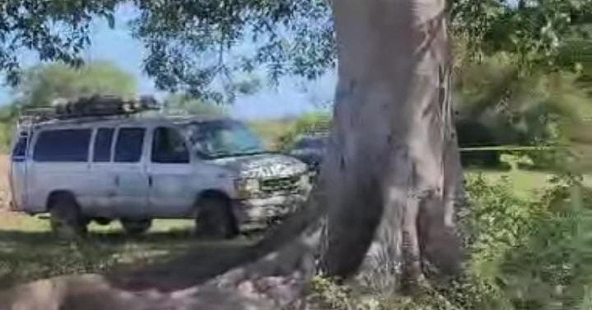 Furgoneta blanca estacionada cerca de un árbol en un paisaje natural con cielo despejado.