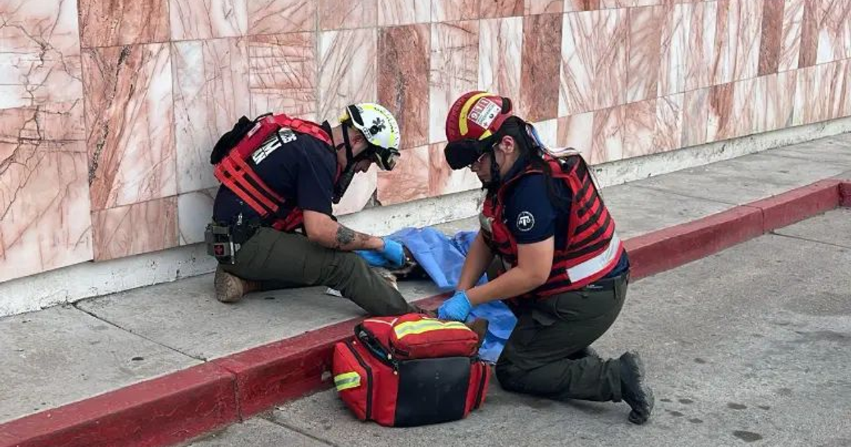 Rescatistas brindan primeros auxilios en Culiacán