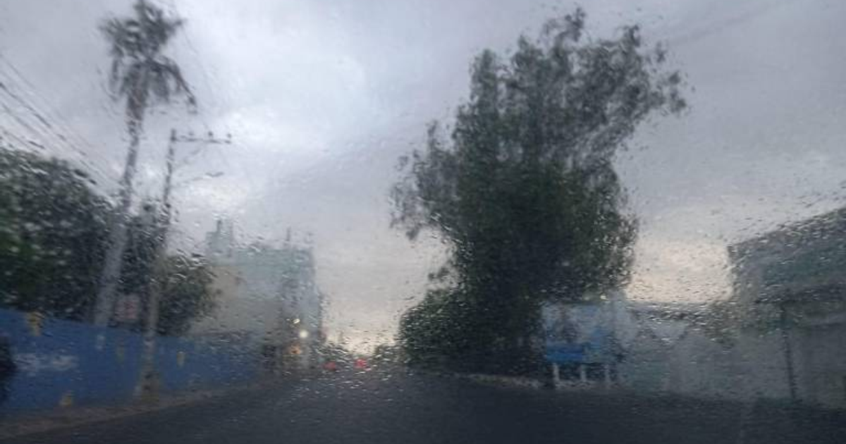 Vista borrosa de un paisaje urbano lluvioso con árboles y edificios al fondo.