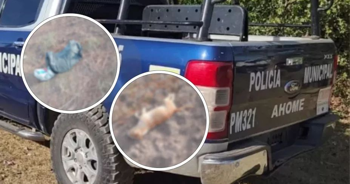 Camioneta de la Policía Municipal de Ahome en operativo de seguridad en El Carrizo