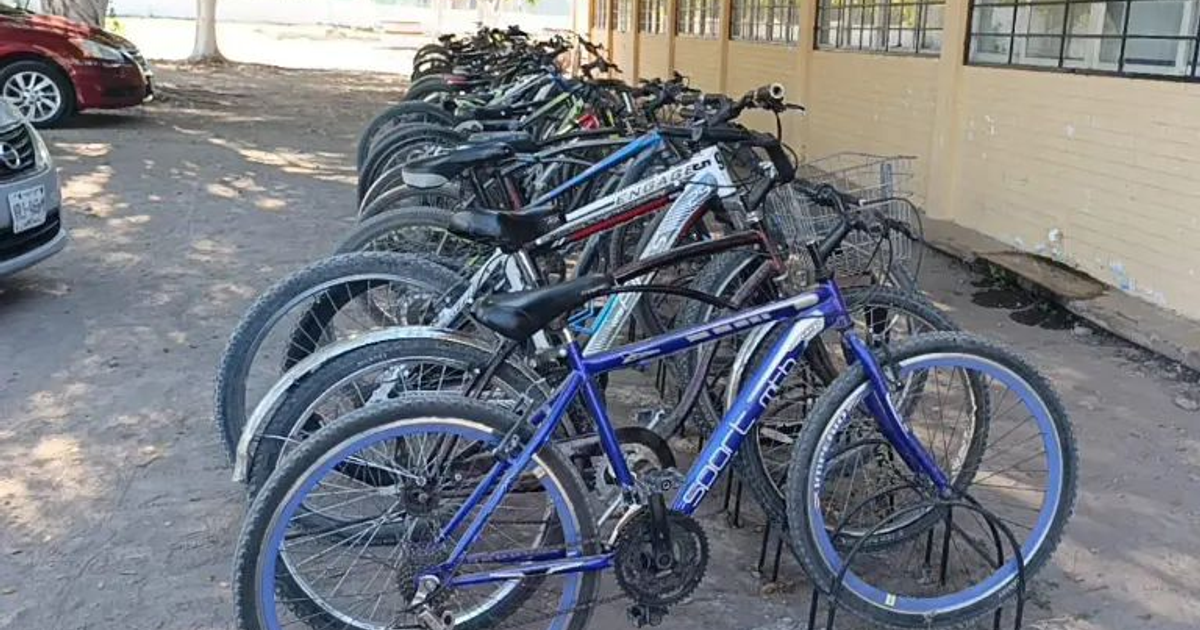 Bicicletas de montaña estacionadas en aparcamiento con un coche al fondo, en un entorno sombreado.