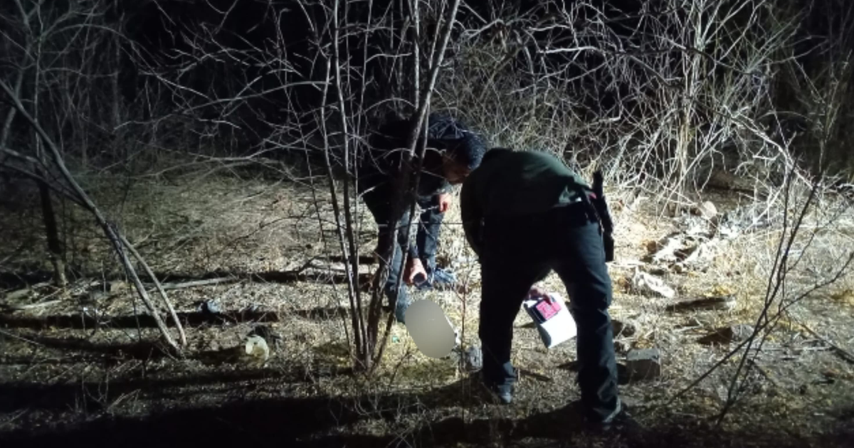 Investigadores forenses trabajando de noche en un entorno boscoso en Culiacán, recolectando restos óseos.