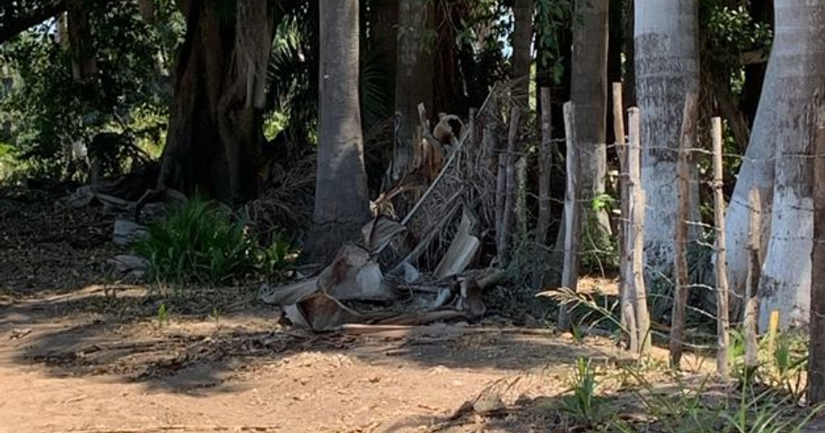 Entorno natural con árboles y camino de tierra en Hacienda Redo, lugar de hallazgo forense.