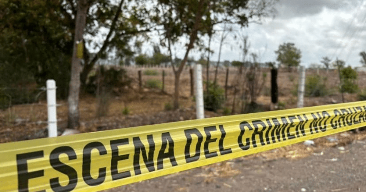 Cinta amarilla de escena del crimen en carretera de Culiacán con árboles al fondo.