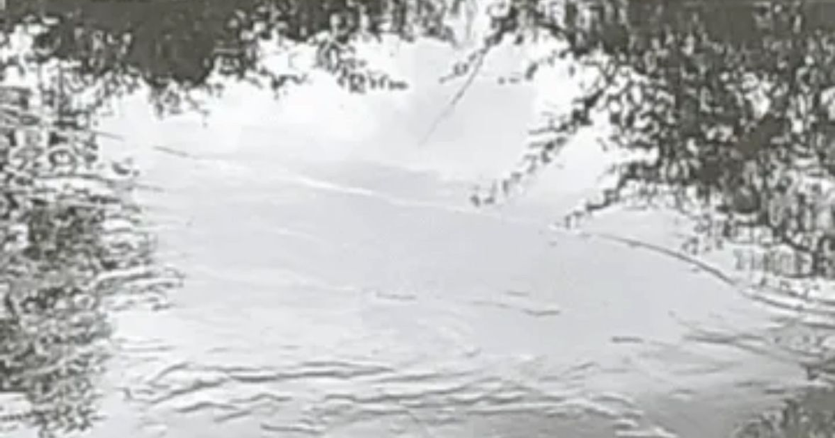 Reflejos difusos en un cuerpo de agua con sombras de plantas, en el contexto de un desbordamiento minero.