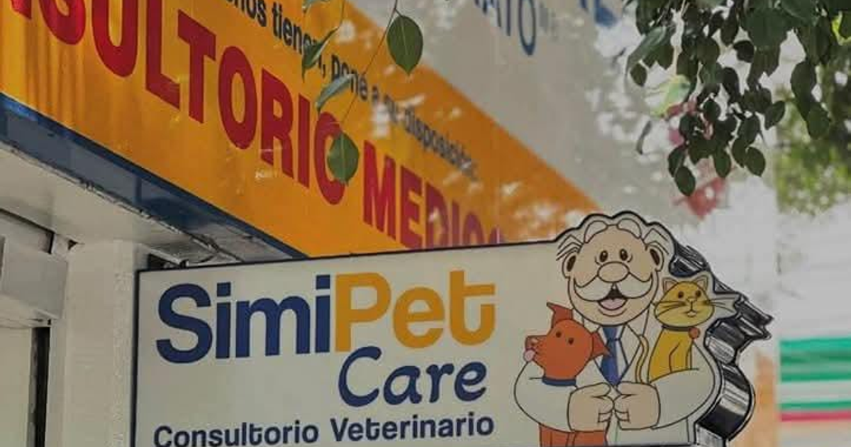 Letrero del consultorio veterinario Simipet Care en CDMX con un veterinario caricaturesco sosteniendo un perro y un gato, fondo naranja y amarillo, y hojas verdes.
