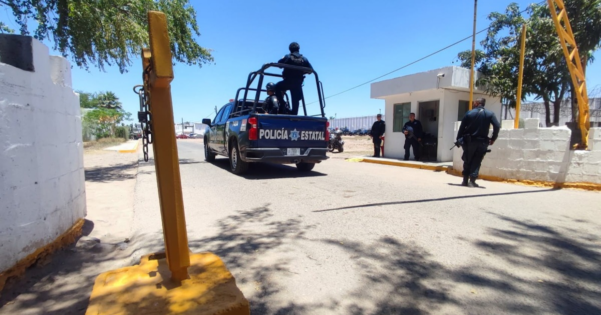 Camioneta de policía estatal en operativo en Ahome, Sinaloa, tras tentativa de feminicidio.