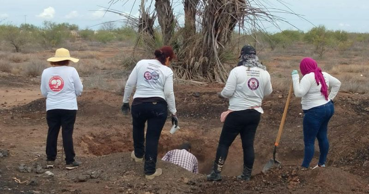 Personas excavando en el desierto, posiblemente buscando desaparecidos.