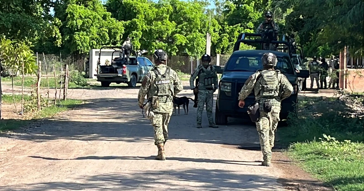 Soldados camuflados en camino rural con vehículos y perro, vinculados a detención de reporteros en Guasave.