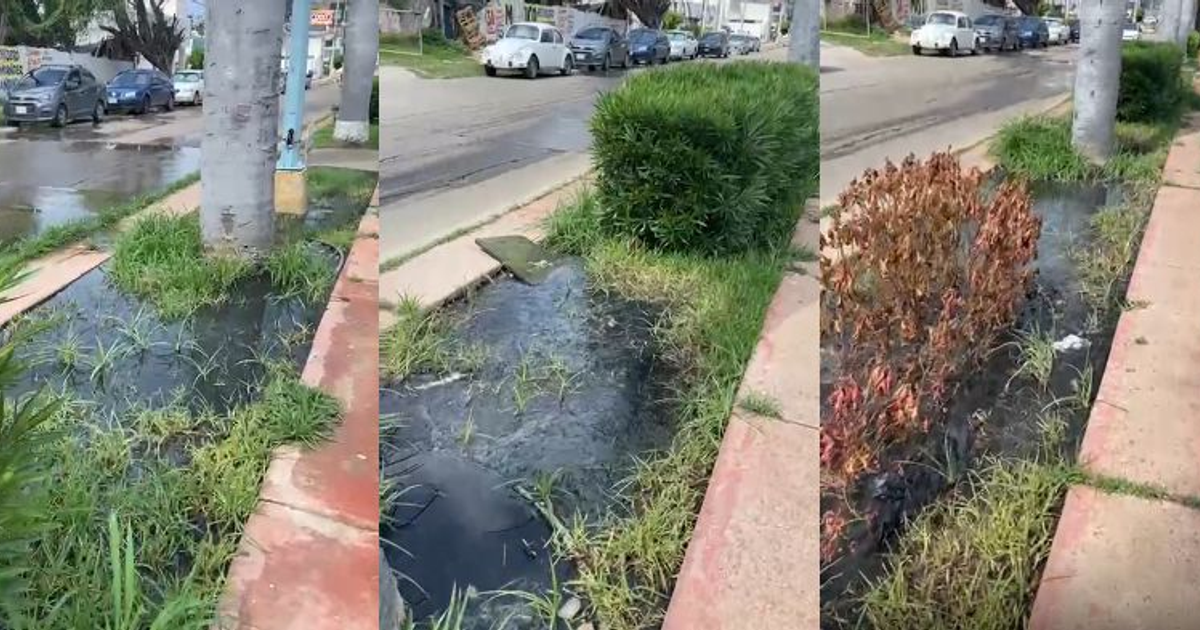 Área urbana con aguas residuales estancadas y césped deteriorado en Mazatlán