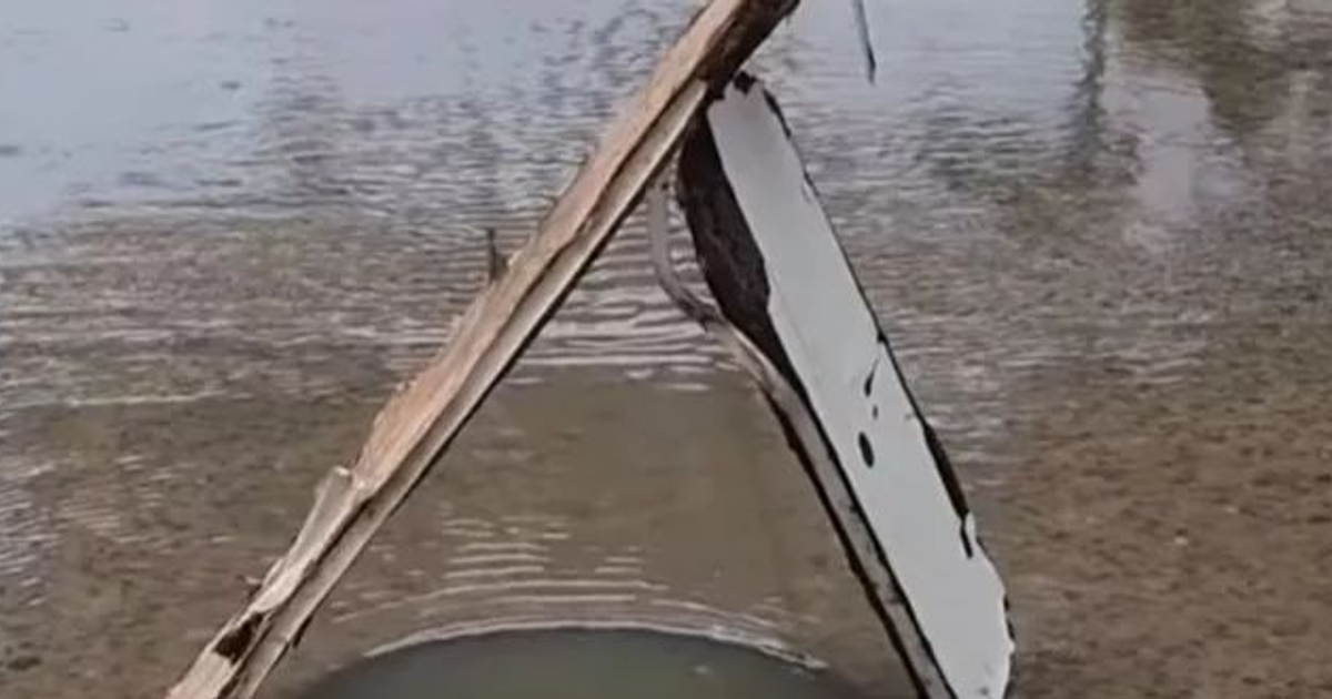 Recipiente con agua y madera en entorno acuático de Pradera Dorada I