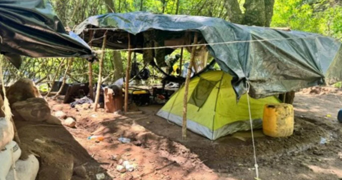Campamento clandestino en Mazatlán con lona negra y tienda amarilla en área boscosa.