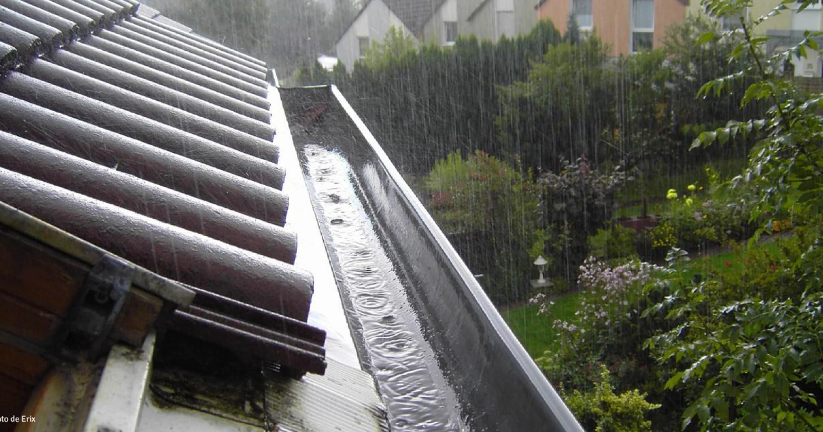 Techo inclinado con tejas y canalón de agua de lluvia en un entorno natural
