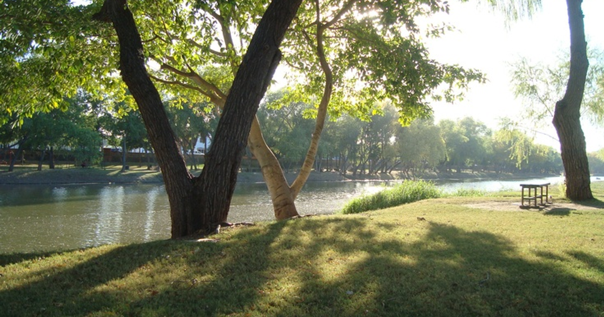 Paisaje natural con río, árboles y banco de madera bajo la luz del sol.