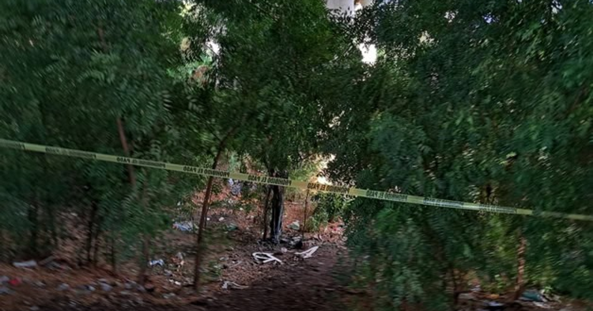 Área boscosa con cinta amarilla de advertencia, relacionada con un hallazgo de cadáver en Culiacán.