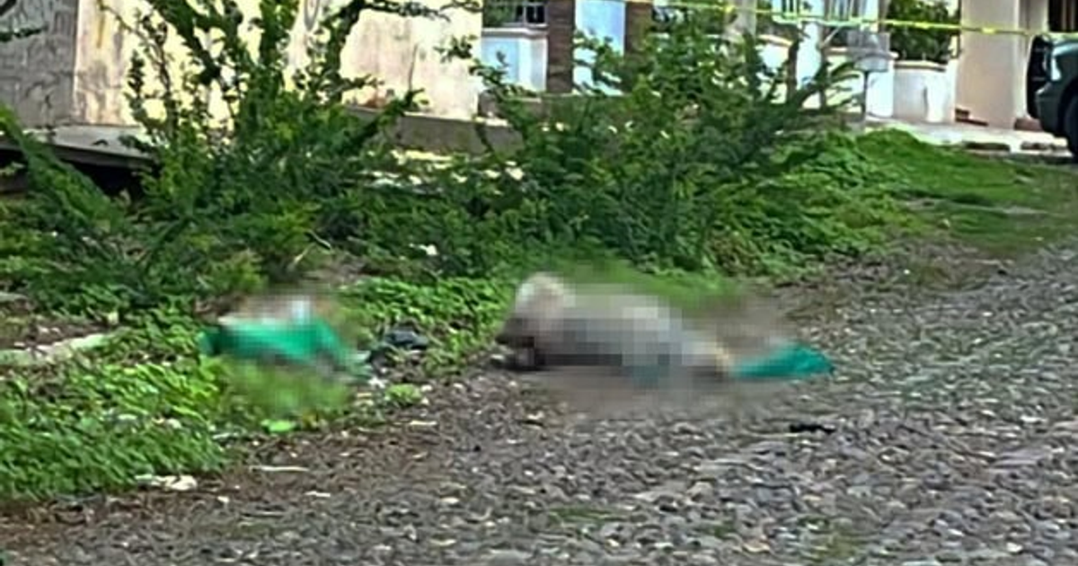 Acordonamiento de escena del crimen en Colonia Margarita, Culiacán, con presencia de Sedena y Policía Estatal.