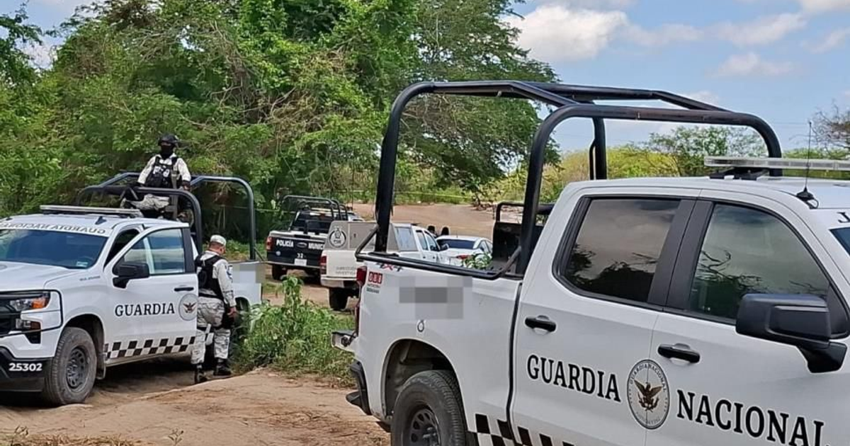 Vehículos de la Guardia Nacional en un camino rodeado de vegetación durante un operativo de seguridad.