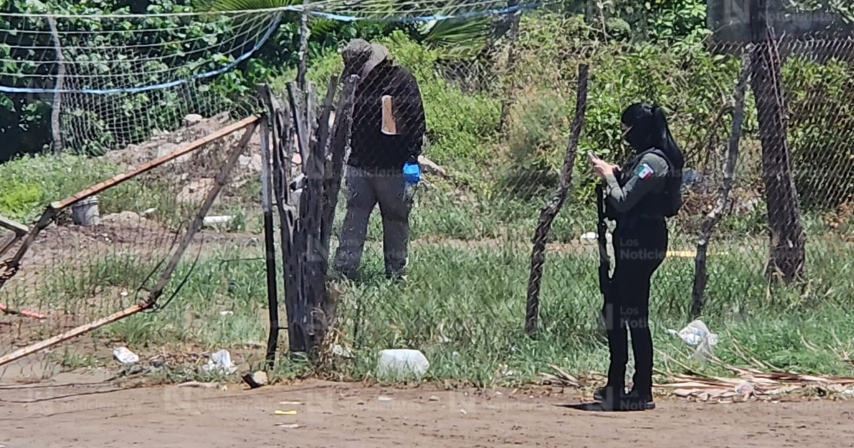 Oficial de seguridad revisando dispositivo móvil en escena del crimen en Navolato