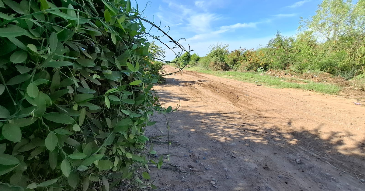 Camino de tierra con vegetación a los lados bajo un cielo azul, relacionado con un caso de asesinato en un entorno rural.