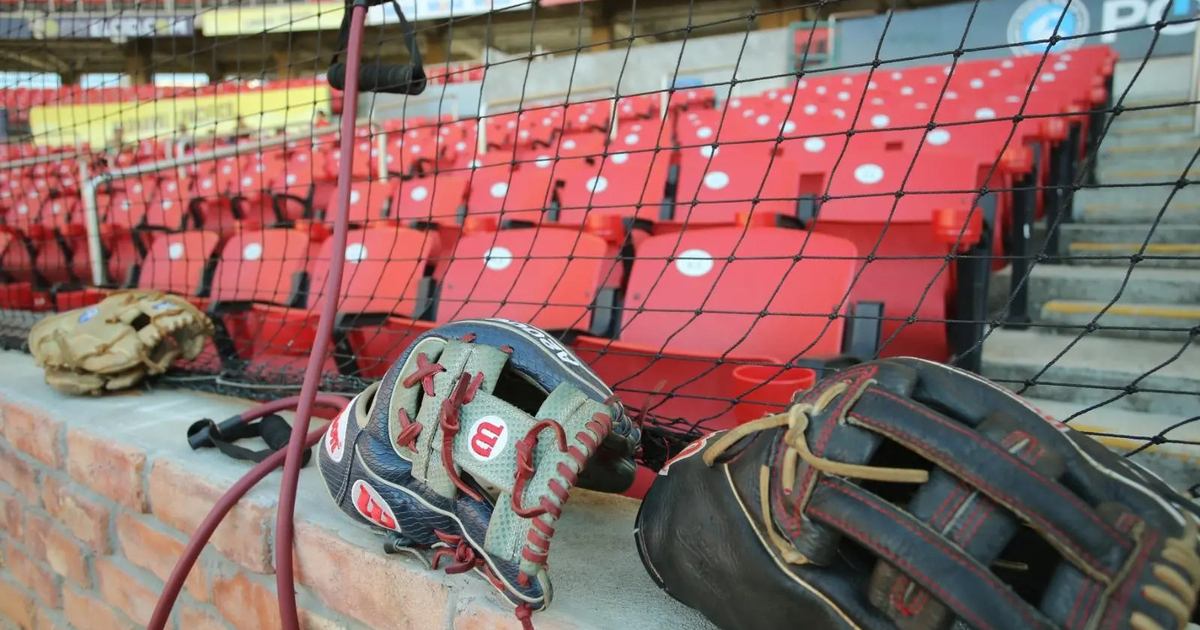 Dos guantes de béisbol sobre una superficie con gradas rojas de fondo en el Estadio Teodoro Mariscal.