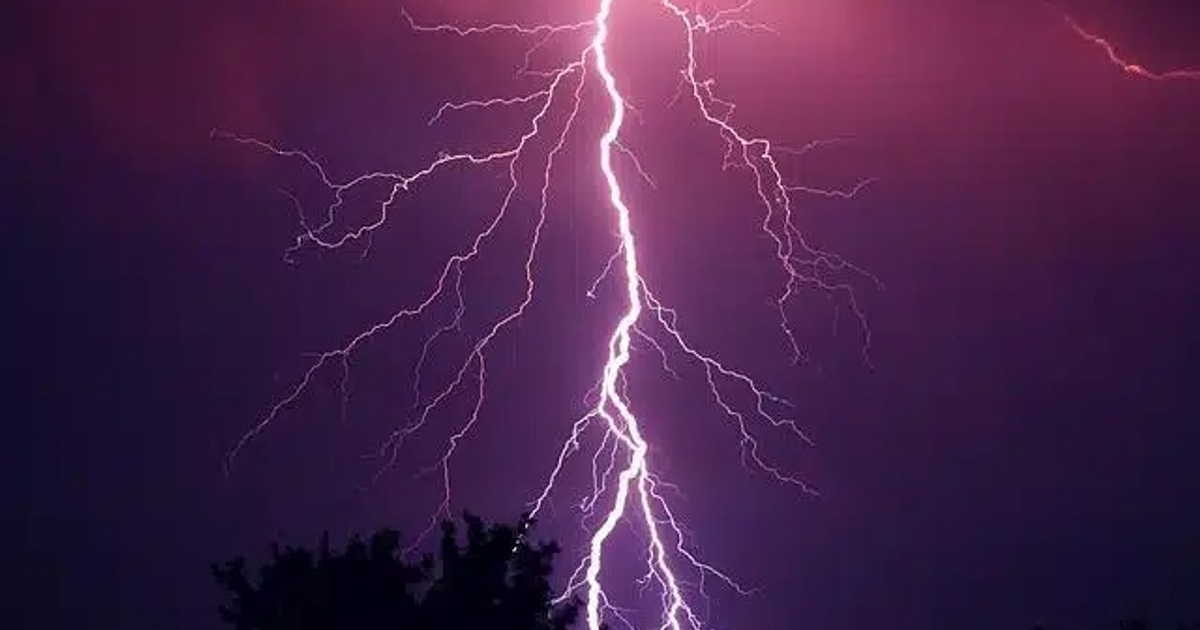 Rayo iluminando cielo púrpura con árboles oscuros en primer plano