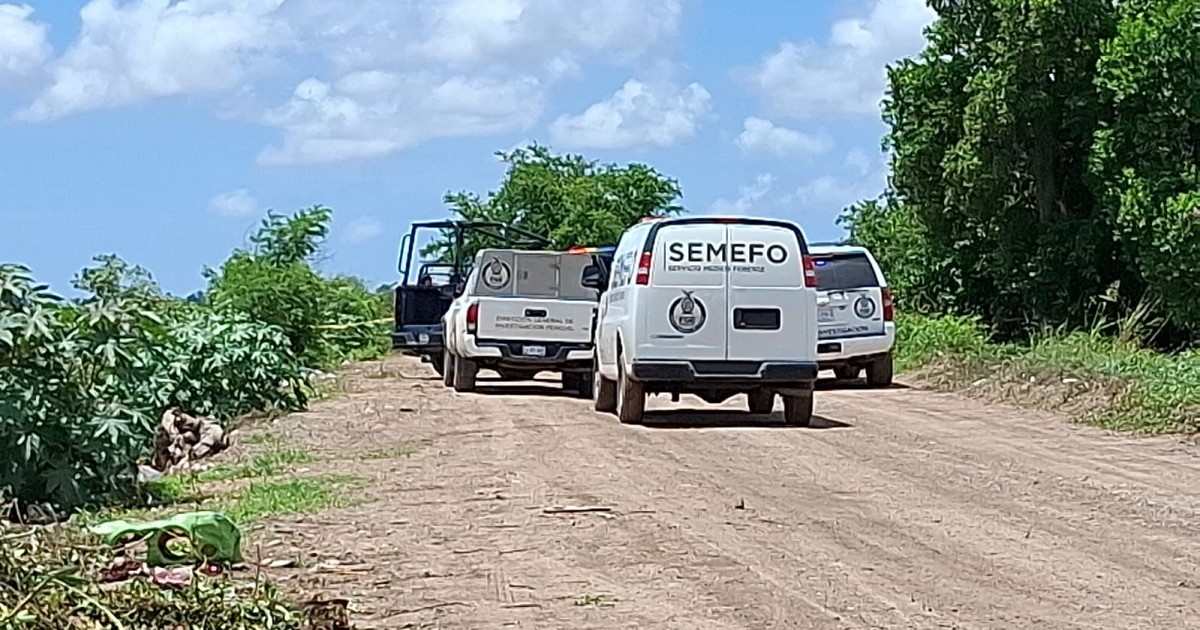 Camino rural en San Pedro con vehículos forenses y vegetación