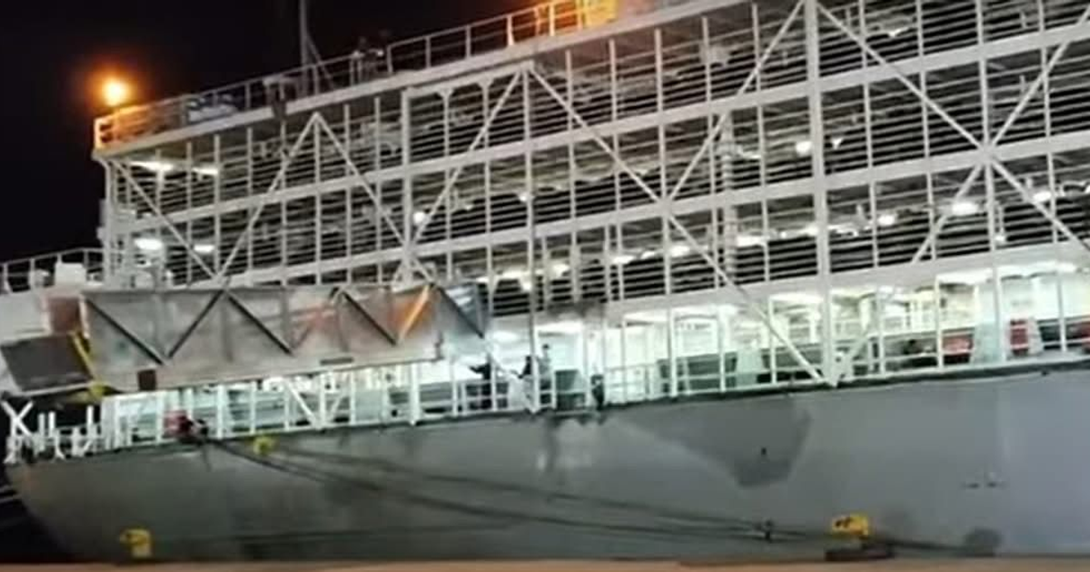 Buque de carga atracado en puerto nocturno con luces y rampa de acceso en uso, vinculado a la importación de ganado vacuno.