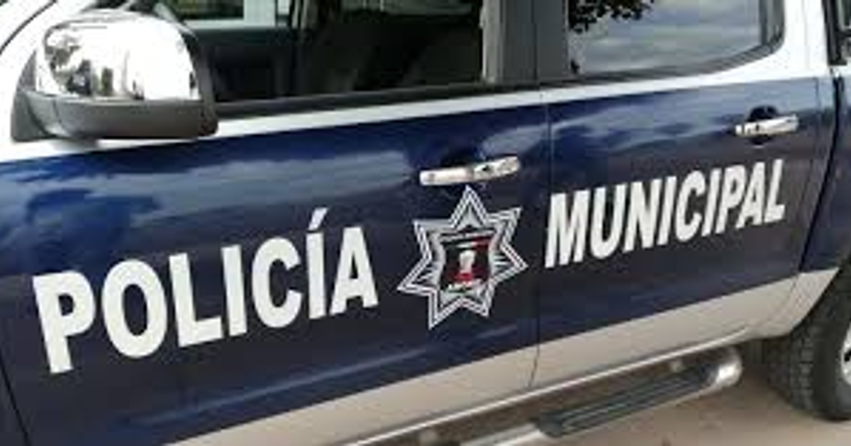 Camioneta de la Policía Municipal de Ahome con inscripción y escudo