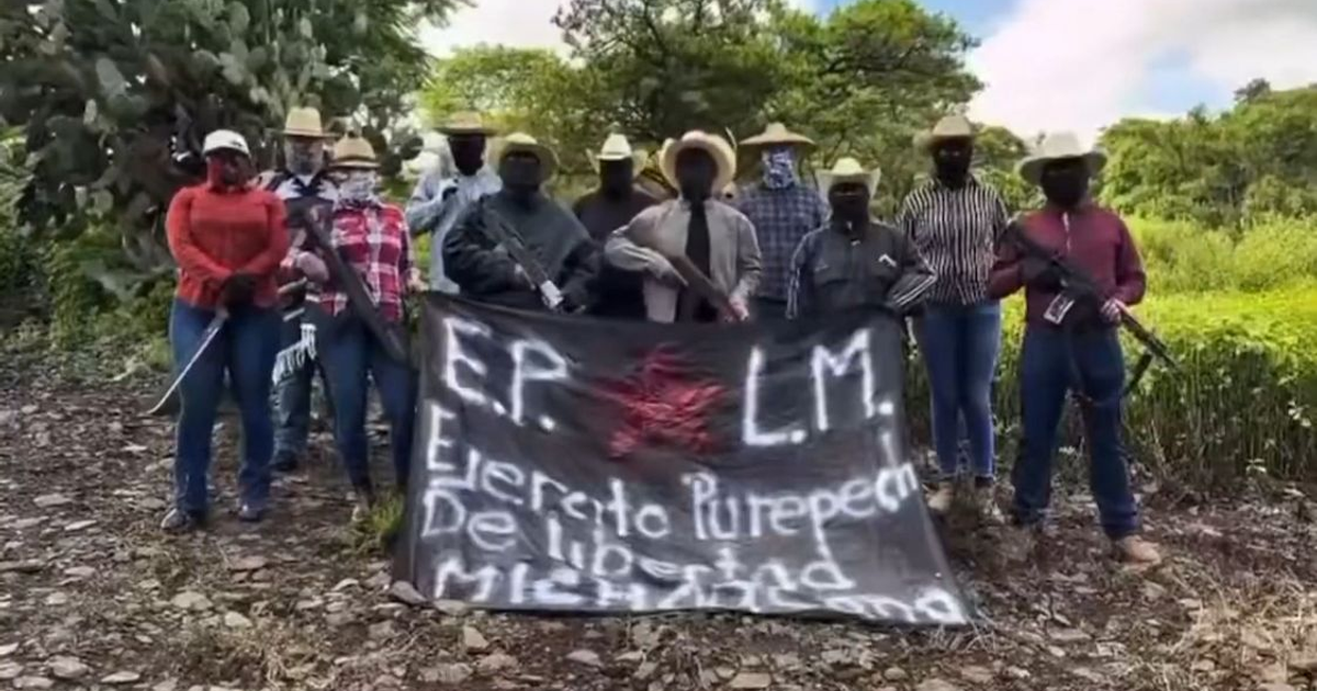 Grupo del Ejército Purepecha de Liberta posando en un entorno rural con armas y bandera.