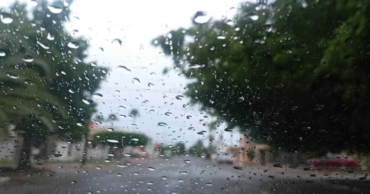Vista de un paisaje urbano lluvioso a través de un cristal con gotas de agua, con árboles y una calle al fondo.