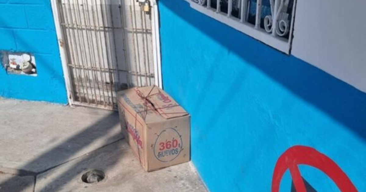 Caja de cartón etiquetada con 'HUEVOS' y '360' frente a refugio de animales en Mazatlán.