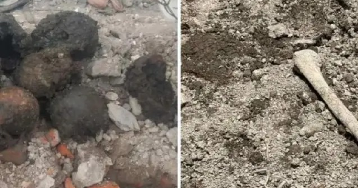 Restos arqueológicos en la colonia Guerrero, Ciudad de México, con huesos visibles en el suelo.