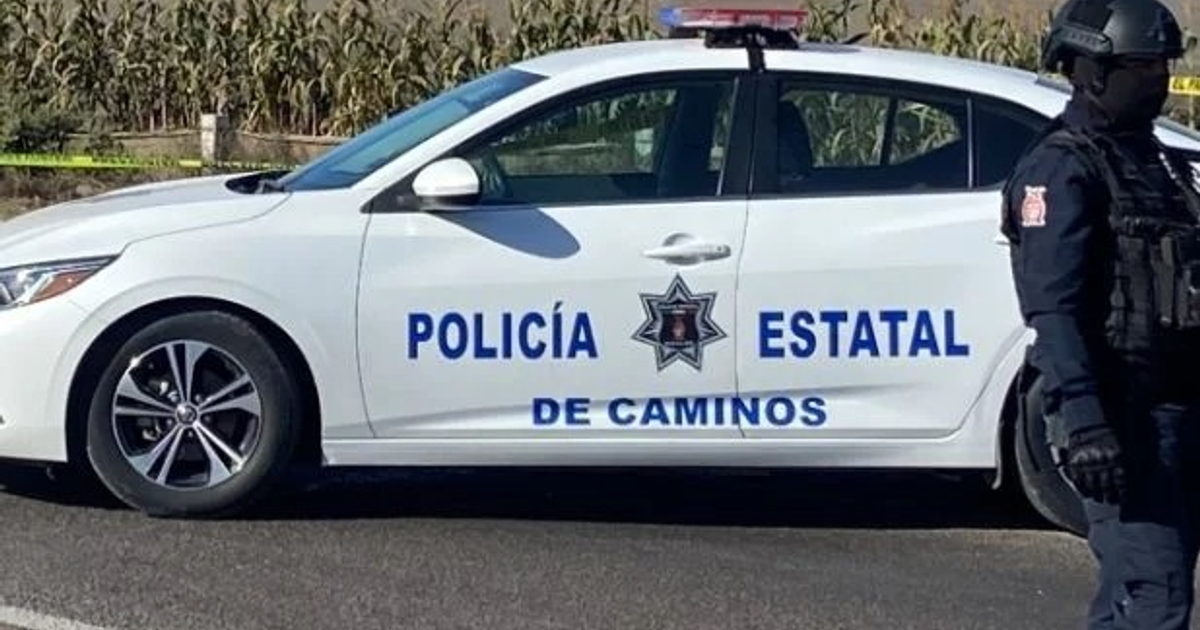 Automóvil de la policía estatal en carretera con oficial y campo de maíz al fondo