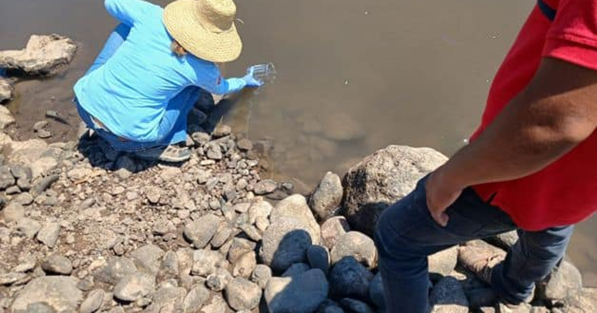 Persona recolectando muestras de agua en canal contaminado en Sinaloa